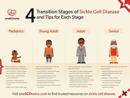 Stages of sickle cell